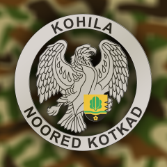 Kohila-Noored-kotkad